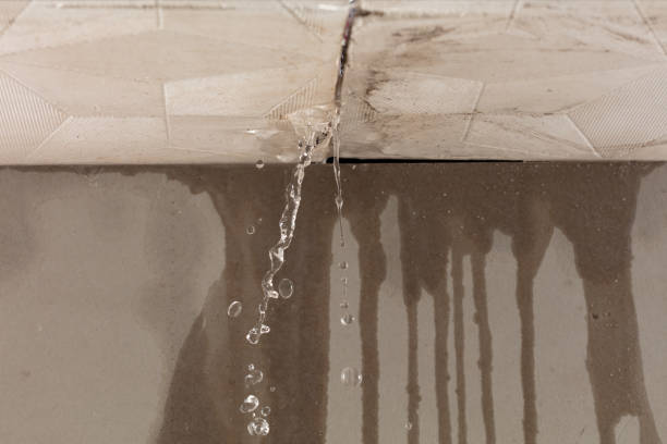 Professional Burst Pipe Cleanup technician working in Garden City, ID